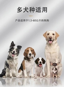 電擊項(xiàng)圈與止吠器 科學(xué)應(yīng)對(duì)寵物吠叫的正確選擇